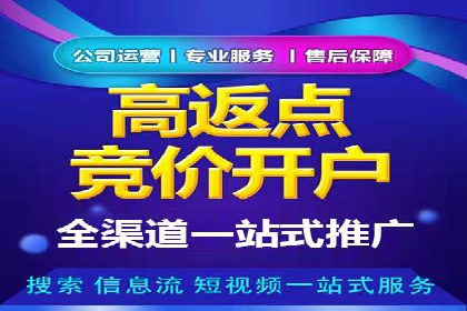 信息流广告的精准定位与效果优化案例分析